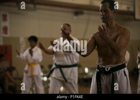 Pedro pratiques Bernardy techniques de blocage avec les membres du service des États-Unis, le ministère de la défense des employés et au cours de la deuxième Okinawaïens Kobudo Kenpo Séminaire International à un dojo à Ginowan, Okinawa, Japon, le 29 octobre 2016. Le séminaire a plusieurs ceintures noires de tout le Japon pour partager des techniques, des idées et de la culture. Bernardy, de Concord, en Californie, est un passionné des arts martiaux visiter sa famille à Okinawa. (U.S. Marine Corps photo par le Sgt. William Hester) Banque D'Images