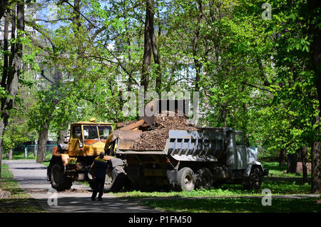 L'équipe d'amélioration de la ville supprime les feuilles tombées dans le parc avec une pelleteuse et un camion. Travail saisonnier régulier sur l'amélioration de l'endroits publics fo Banque D'Images