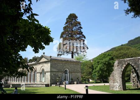 Orangerie du parc margam, près de Port Talbot swansea Banque D'Images