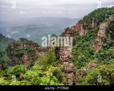 La Grande Muraille naturelle à colonnes karst Yuanjiajie, Mountain Scenic Area Wulingyuan, Parc forestier national de Zhangjiajie, Hunan Province, China, Asia Banque D'Images