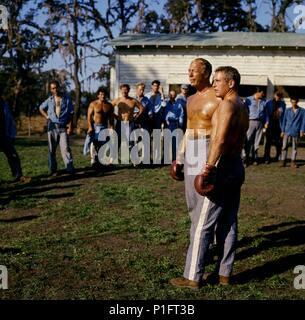 Titre original : Cool Hand Luke. Titre en anglais : Cool Hand Luke. Directeur de film : STUART ROSENBERG. Année : 1967. Stars : Paul Newman, GEORGE KENNEDY. Credit : Warner Brothers / Album Banque D'Images