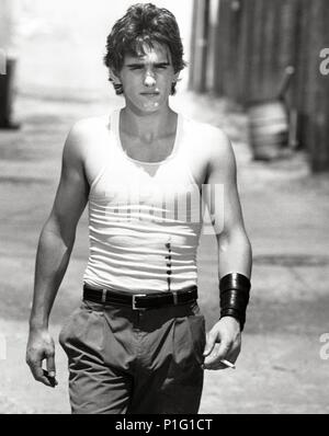 Titre original : RUMBLE FISH. Titre en anglais : RUMBLE FISH. Film Réalisateur : Francis Ford Coppola. Année : 1983. Stars : Matt Dillon. Credit : UNIVERSAL PICTURES / Album Banque D'Images