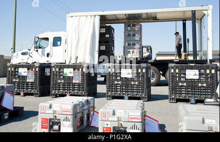 Les membres du Groupe de travail 1 du Maryland, Comté d'équipe de recherche et de sauvetage en milieu urbain, de charger leurs marchandises sur véhicule inspecté 18 oct., 2016, à la 436e APS de gare de triage sur Dover Air Force Base, Del. ce véhicule particulier avec rideau-style côtés facilite l'accès rapide aux marchandises à l'embarquement ou de débarquement. Le chariot élévateur utilisé se monte à l'arrière du véhicule pour faciliter le transport. (U.S. Air Force photo de Roland Balik) Banque D'Images