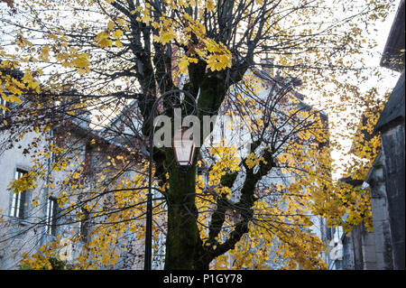 Le paysage pittoresque de la vieille ville médiévale de Chambéry, région Rhône-Alpes, France. Les feuilles d'automne, la silhouette des arbres et lampadaire Banque D'Images