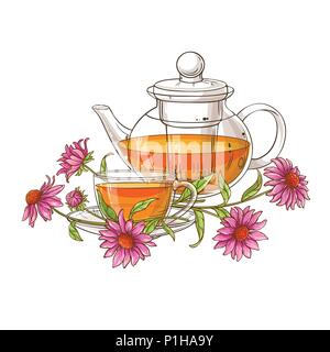 Plateau en verre d'echinace purpurea vector illustration Illustration de Vecteur