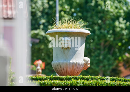 Jardin botanique de Sežana, 19e siècle, la Slovénie a 150 ans cedar, parterres de fleurs, pergolas et le palmarium - Jardin de joie Banque D'Images