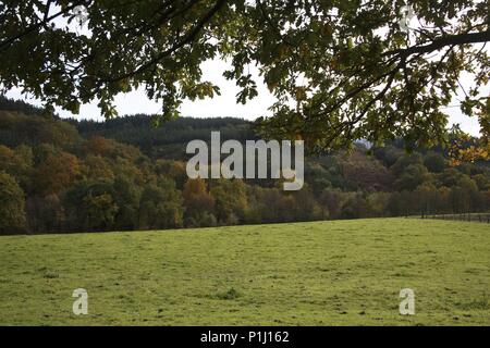 Espagne - PAYS BASQUE - Cantábrica (district) - ALAVA. Amurrio, paisaje otoñal cerca de la ciudad. Banque D'Images