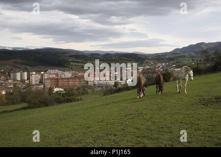 Espagne - PAYS BASQUE - Cantábrica (district) - ALAVA. Amurrio, paisaje , caballos y ciudad. Banque D'Images