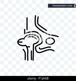 L'os de la hanche icône vecteur isolé sur fond transparent, Os concept logo Illustration de Vecteur
