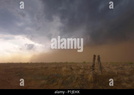 Tempête de poussière d'un orage au-dessus de la steppe du Texas, USA Banque D'Images