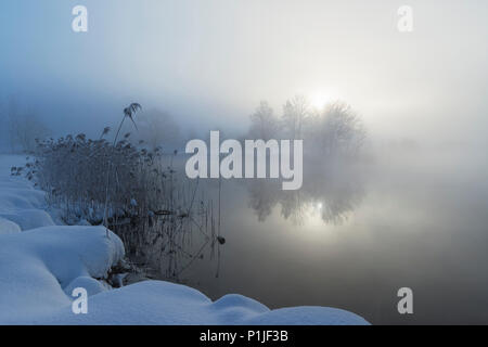 En hiver brouillard matin, Kochelsee, Kochel, Bavière, Allemagne Banque D'Images