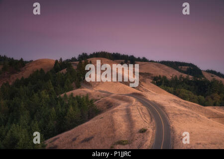 L'autoroute dans les collines du Mont Tamalpais State Park, comté de Marin, en Californie, USA Banque D'Images