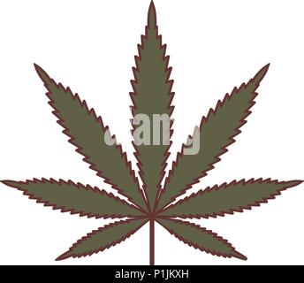 La Marijuana ou cannabis feuille. Le cannabis médical. Silhouette vecteur d'une feuille de chanvre. La marijuana Vintage logo label template design. L'icône de la lutte contre les mauvaises herbes. Vector illust Illustration de Vecteur