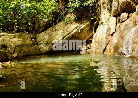 Jeune homme nager sous l'eau dans une montagne tropicale, piscine Plage Paluma National Park, Rollingstone France Banque D'Images