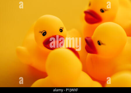 Canards en caoutchouc au concept de leadership, petit caneton jaune comme chef de parler au reste du groupe ou équipe, selective focus Banque D'Images