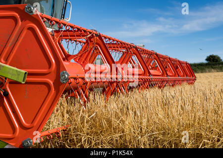 Close up of a Claas V900 35ft combiner avec tête de caméras, au travail, à la récolte de l'orge. North Yorkshire, UK. Banque D'Images