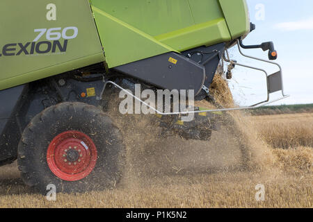 Lexique Claas 760 combinant l'orge, avec de la paille provenant de la décharge arrière. Le Yorkshire, UK. Banque D'Images