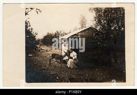 LA RÉPUBLIQUE TCHÉCOSLOVAQUE - VERS 1930s: La photo d'époque montre que la femme nourrit le cerf de Virginie femelle. Elle se trouve en face d'une petite maison de jardin. Photo noir et blanc. 1930s. Banque D'Images