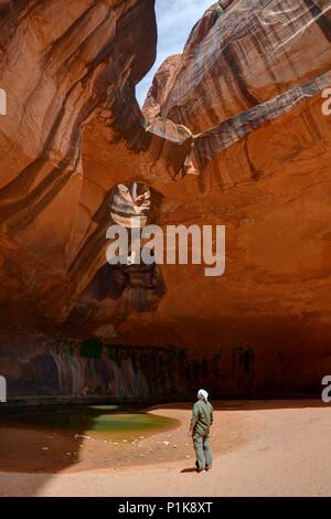 Homme debout devant la Golden Cathedral, Glen Canyon National Monument, Utah, États-Unis Banque D'Images