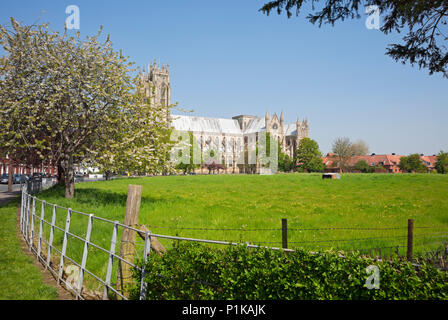 Beverley Minster l'église paroissiale de St John et St Martin au printemps Beverley East Yorkshire England Royaume-Uni GB Grande-Bretagne Banque D'Images