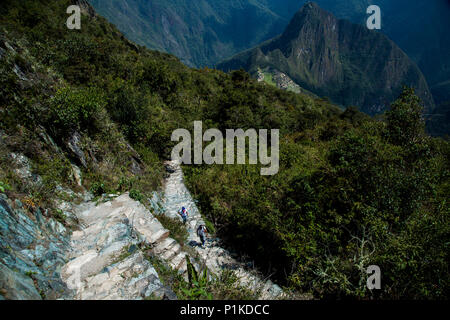 La randonnée de montagne Machu Picchu n'est pas technique, mais c'est une épreuve épuisante, inégale, 101-vol de l'escalade. Banque D'Images