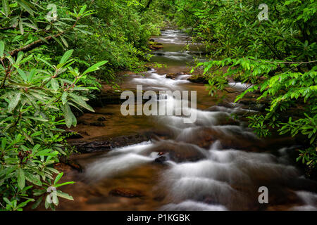 Avery Creek - Pisgah National Forest, à proximité de Brevard, North Carolina, États-Unis Banque D'Images