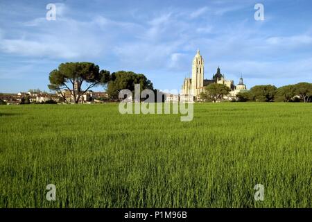 Segovia capitale ; vista de la Catedral desde campos de céréales. Banque D'Images