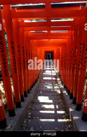Torii gates, Hie sanctuaire Shinto (日枝神社) Akasaka, Tokyo, Japon Banque D'Images