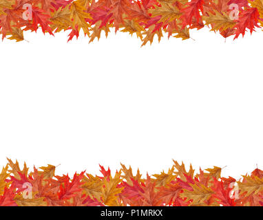 Border Frame de chute de couleur avec maple leafs copie espace isolé sur fond blanc Banque D'Images