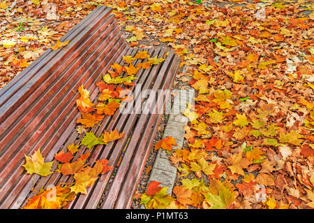 Les feuilles colorés partout dans le banc de parc en automne, les feuilles d'automne background Banque D'Images
