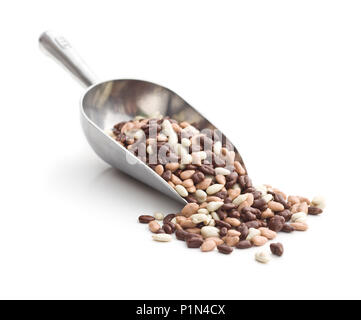 Chocolat au lait de graines de tournesol en écope isolé sur fond blanc. Banque D'Images