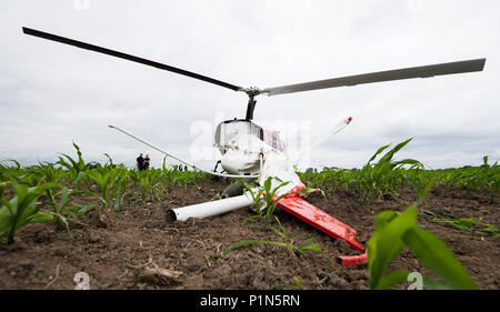 Berne, Allemagne. 18Th Nov, 2018. 12 juin 2018, l'Allemagne, de Berne : Un hélicoptère Enstrom F-28F après un atterrissage d'urgence dans un champ de maïs près de Berne en raison de la défaillance du moteur. Les deux personnes à bord sont restés indemnes. Photo : Mohssen/Assanimoghaddam Crédit photo : dpa dpa alliance/Alamy Live News Banque D'Images