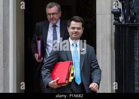 Londres, Royaume-Uni. 12 Juin, 2018. James Brokenshire, député, secrétaire d'État du logement, des communautés et des Gouvernements locaux, et David Mundell MP, Secrétaire d'État pour l'Écosse, laissez 10 Downing Street, à la suite d'une réunion du Cabinet tenue avant la Chambre des communes débat et votes sur les amendements proposés par la Chambre des Lords à l'UE. Loi Retrait Credit : Mark Kerrison/Alamy Live News Banque D'Images