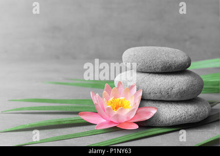 L'équilibre des pierres, lotus fleur rose et vert feuille de palmier. Concept spa et zen. Banque D'Images