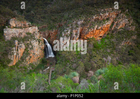 Première tombe dans Morialta Conservation Park dans les collines d'Adélaïde, Australie du Sud, est une destination de randonnée populaire pour les habitants et les touristes. Banque D'Images