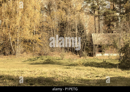 Vintage en bois rustique, maison, ferme de patio au bord de la pittoresque forêt en automne. Mode de vie solitaire, les saisons Banque D'Images