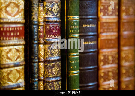 Épines de vieux livres anciens reliés sur une étagère Banque D'Images