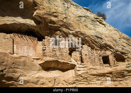 Ruines, Pueblo ancestrales cible, jusqu'à 1 000 ans, les ours oreilles National Monument ; Utah, United States of America Banque D'Images