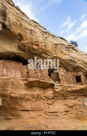 Ruines, Pueblo ancestrales cible, jusqu'à 1 000 ans, les ours oreilles National Monument ; Utah, United States of America Banque D'Images