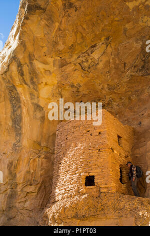 Ruines de la tour, Pueblo ancestrales, jusqu'à 1 000 ans, les ours oreilles National Monument ; Utah, United States of America Banque D'Images