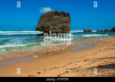 Gros rocher qui a été rompu avec une barrière de corail, sur la plage de Bathsheba ; Barbade Banque D'Images