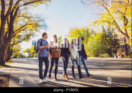 Diversité ethnique d'un groupe d'étudiants universitaires marcher et parler ensemble sur le campus à l'automne ; Edmonton, Alberta, Canada Banque D'Images