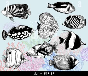 Ensemble de croquis dessinés à la main, les poissons tropicaux et les coraux de style. Vector illustration isolé. Illustration de Vecteur