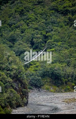 Pont suspendu sur le fil de Point Roberts, piste près de Franz Joseph Glacier, West Coast, South Island, New Zealand Banque D'Images