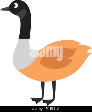 Canard sauvage icône canadien vector illustration design Illustration de Vecteur