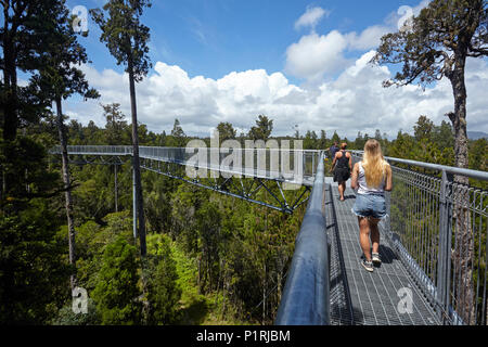 Les touristes sur Treetop walk, près de Hokitika, côte ouest, île du Sud, Nouvelle-Zélande (Modèle 1992) Banque D'Images