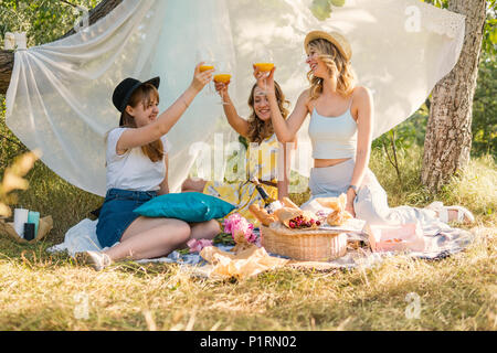 Groupe de filles faisant des amis de plein air de pique-nique. Ils s'amuser et boire des cocktails. Banque D'Images
