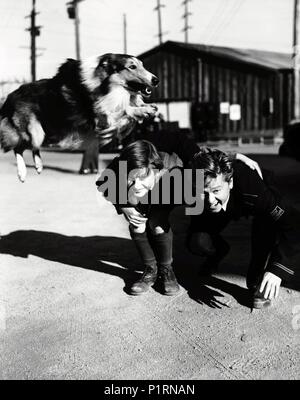 Titre original : LASSIE COME HOME. Titre en anglais : LASSIE COME HOME. Film Réalisateur : FRED M. WILCOX. Année : 1943. Stars : MICKEY ROONEY ; RODDY MCDOWALL. Credit : M.G.M. / Album Banque D'Images