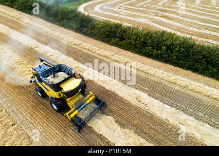 Vue aérienne d'une des lignes de coupe de la moissonneuse-batteuse la collecte du grain ; Beiseker, Alberta, Canada Banque D'Images