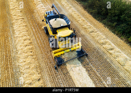 Vue aérienne d'une des lignes de coupe de la moissonneuse-batteuse la collecte du grain ; Beiseker, Alberta, Canada Banque D'Images